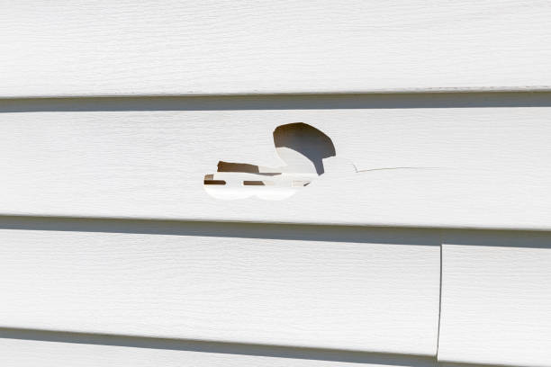 Professional Siding Services in Steger, IL